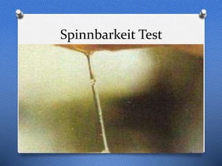 Spinnbarkeit Test
 