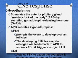 CNS response
OHypothalamus
O Stimulates the anterior pituitary gland
“master clock of the body” (APG) by
secreting gonadotropin-releasing hormone
(GnRH)
O APG secretes 2 gonadotropins:
OFSH
Oprompts the ovary to develop ovarian
follicles
OThe developing follicles secrete
estrogen w/c feeds back to APG to
supress FSH & trigger a surge of LH
OLH
OActs w/ FSH to cause the ovulation &
 