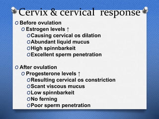 Cervix & cervical response
O Before ovulation
O Estrogen levels ↑
OCausing cervical os dilation
OAbundant liquid mucus
OHigh spinnbarkeit
OExcellent sperm penetration
O After ovulation
O Progesterone levels ↑
OResulting cervical os constriction
OScant viscous mucus
OLow spinnbarkeit
ONo ferning
OPoor sperm penetration
 
