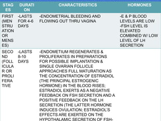 MS IS DIVIDED INTO 3
MENSTRUAL STAGES
STAG
ES
DURATI
ON
CHARACTERISTICS HORMONES
FIRST
(MEN
STRU
ATION
OR
MENS
ES)
-LASTS
FOR 4-6
DAYS
-ENDOMETRIAL BLEEDING AND
FLOWING OUT THRU VAGINA
-E & P BLOOD
LEVELS ARE LOW
-FSH LEVEL IS
ELEVATED
COMBINED W/ LOW
LEVEL OF LH
SECRETION
SECO
ND
(FOLL
ICULA
R OR
PROLI
FERA
TIVE
-LASTS
8-10
DAYS
-ENDOMETIUM REGENERATES &
PROLIFERATES IN PREPARATIONS
FOR POSSIBLE IMPLANTATION &
SINGLE OVARIAN FOLLICLE
APPROACHES FULL MATURATION AS
THE CONCENTRATION OF ESTRADIOL
(THE PRINCIPAL ESTROGENIC
HORMONE) IN THE BLOOD RISES;
ESTRADIOL EXERTS AS A NEGATIVE
FEEDBACK ON FSH SECRETION AND A
POSITIVE FEEDBACK ON THE LH
SECRETION (THE LATTER HORMONE
INDUCES OVULATION; ESTRADIOL’S
EFFECTS ARE EXERTED ON THE
HYPOTHALAMIC SECRETION OF FSH-
 