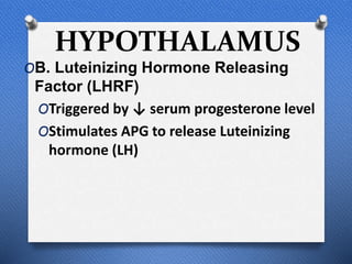 HYPOTHALAMUS
OB. Luteinizing Hormone Releasing
Factor (LHRF)
OTriggered by ↓ serum progesterone level
OStimulates APG to release Luteinizing
hormone (LH)
 