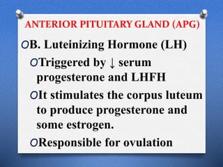 ANTERIOR PITUITARY GLAND (APG)
OB. Luteinizing Hormone (LH)
OTriggered by ↓ serum
progesterone and LHFH
OIt stimulates the corpus luteum
to produce progesterone and
some estrogen.
OResponsible for ovulation
 