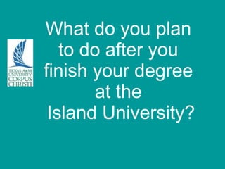 What do you plan  to do after you  finish your degree  at the  Island University? 
