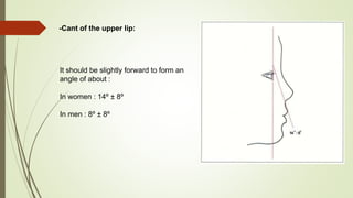 -Cant of the upper lip:
It should be slightly forward to form an
angle of about :
In women : 14º ± 8º
In men : 8º ± 8º
 
