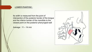 LOWER PHARYNX :
Its width is measured from the point of
intersection of the posterior border of the tongue
and the inferior border of the mandible to the
closest point on the posterior phanyngeal wall
Average : 11 – 14 mm
 