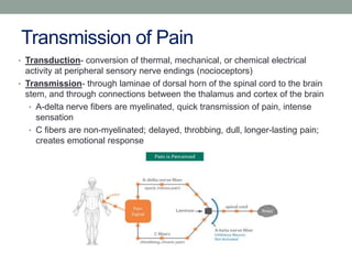 Transmission of Pain
• Transduction- conversion of thermal, mechanical, or chemical electrical
activity at peripheral sens...