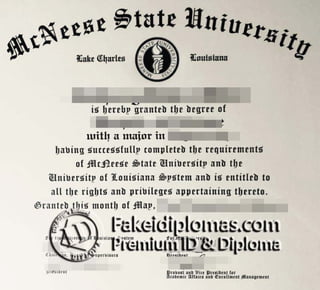 McNeese State University degree