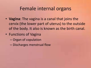 Female internal organs
• Vagina: The vagina is a canal that joins the
cervix (the lower part of uterus) to the outside
of the body. It also is known as the birth canal.
• Functions of Vagina
– Organ of copulation
– Discharges menstrual flow
 
