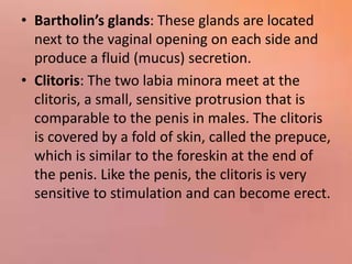 • Bartholin’s glands: These glands are located
next to the vaginal opening on each side and
produce a fluid (mucus) secretion.
• Clitoris: The two labia minora meet at the
clitoris, a small, sensitive protrusion that is
comparable to the penis in males. The clitoris
is covered by a fold of skin, called the prepuce,
which is similar to the foreskin at the end of
the penis. Like the penis, the clitoris is very
sensitive to stimulation and can become erect.
 