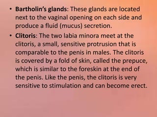 • Bartholin’s glands: These glands are located
next to the vaginal opening on each side and
produce a fluid (mucus) secret...