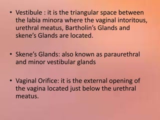 • Hymen: it is a thin circular membrane made of
elastic tissue situated at the vaginal opening
that separates the female i...
