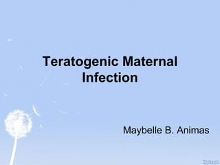 Teratogenic Maternal
Infection
Maybelle B. Animas
 