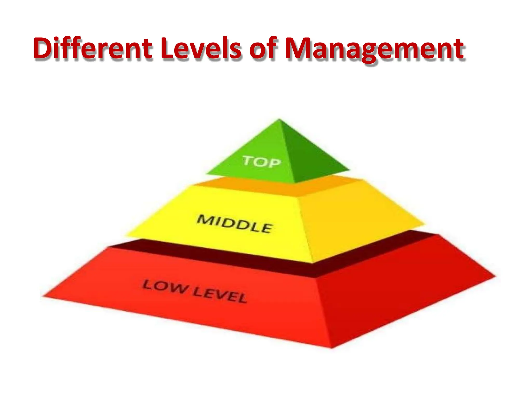 Different Levels of Management
 