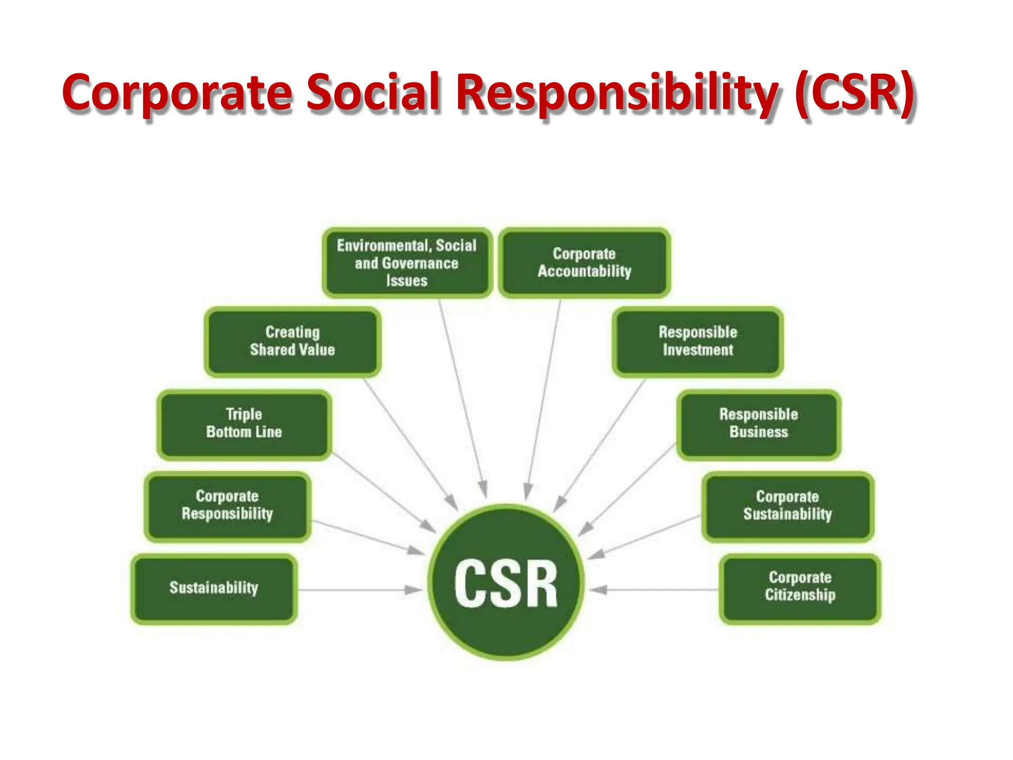 Corporate Social Responsibility (CSR)
 