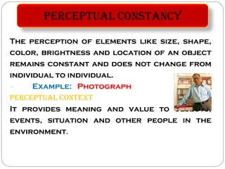 Perception | PPT