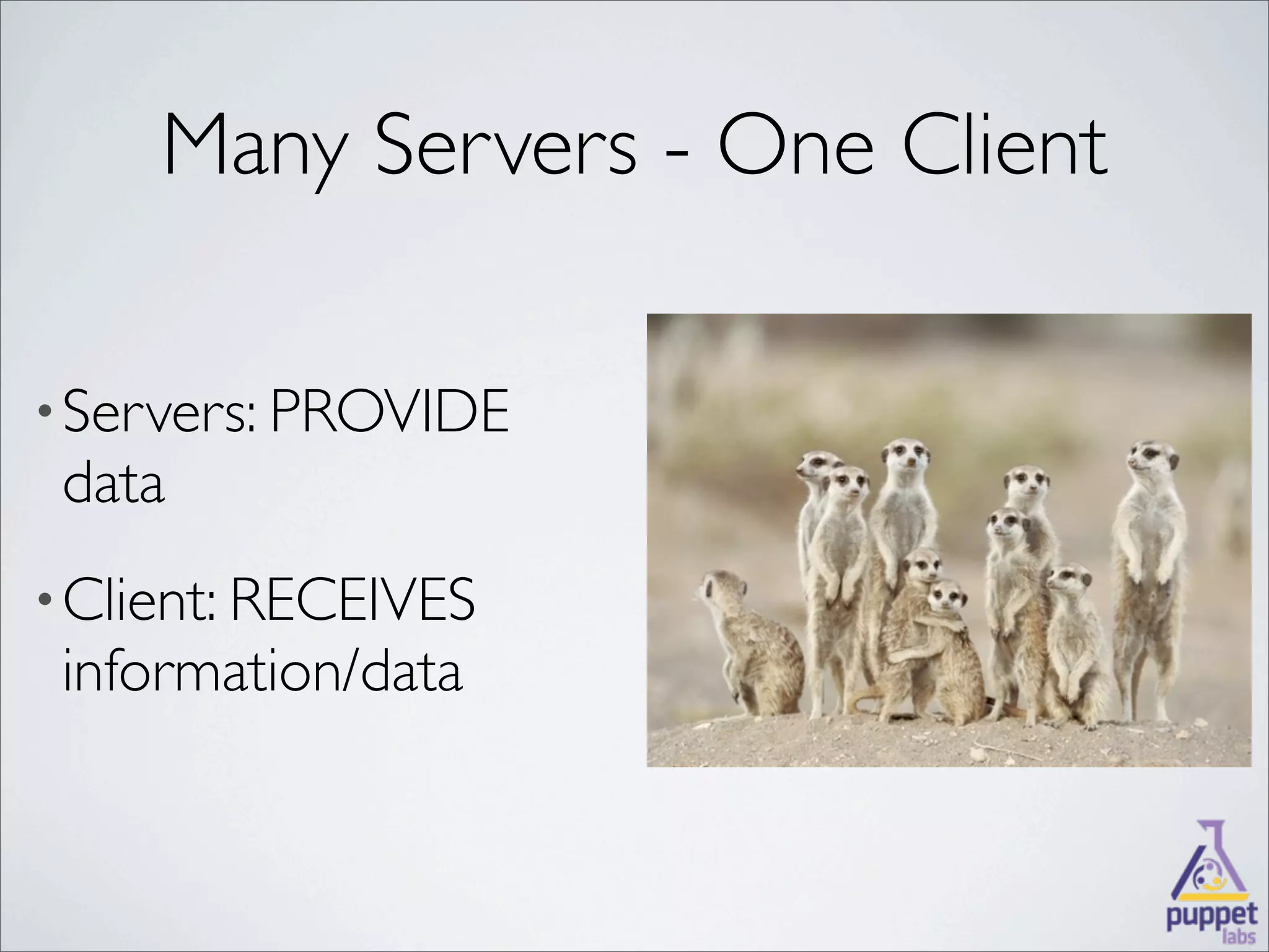 Many Servers - One Client

• Servers: PROVIDE
 data
• Client: RECEIVES
 information/data
 