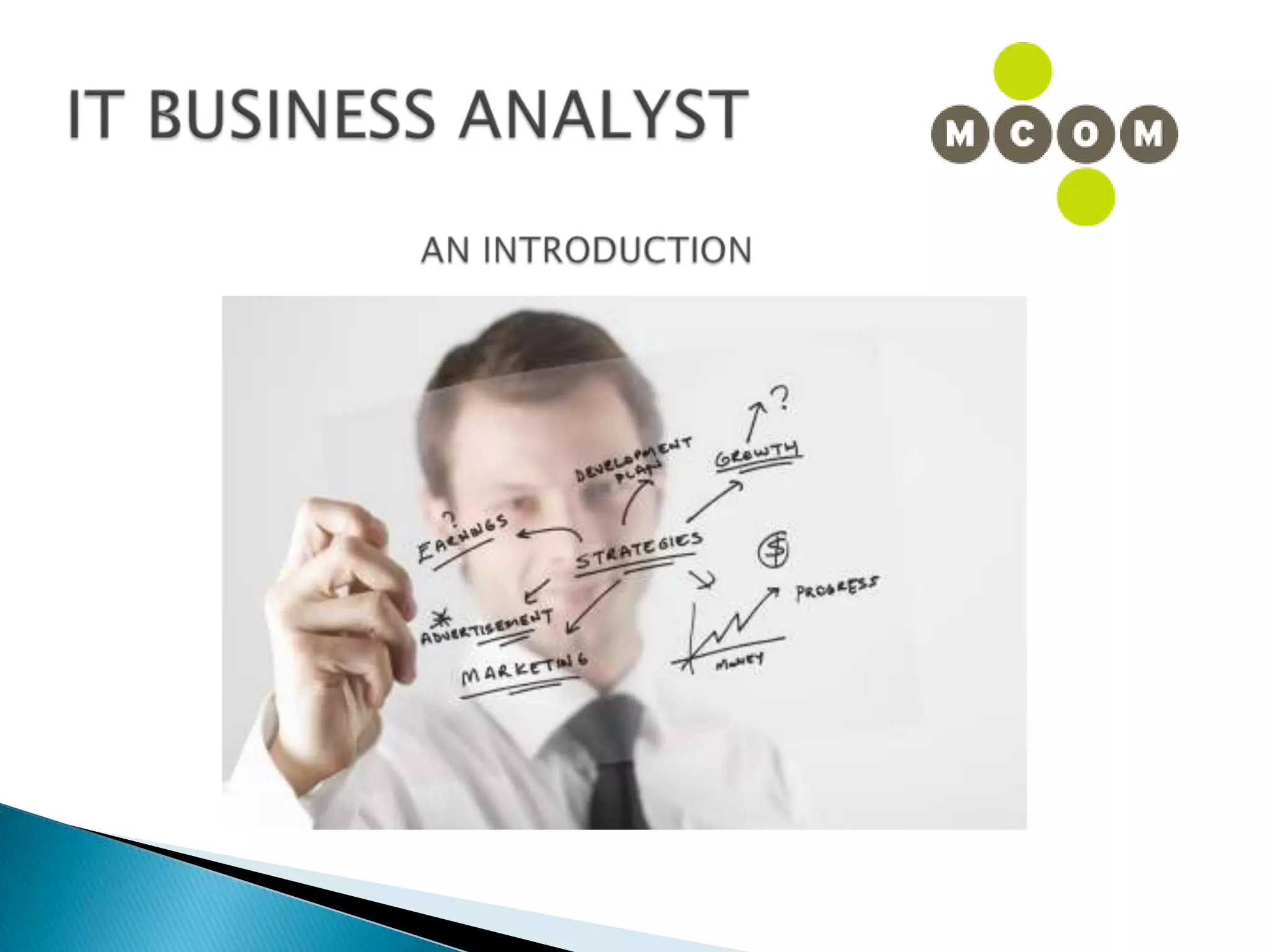 IT BUSINESS ANALYSTAN INTRODUCTION
