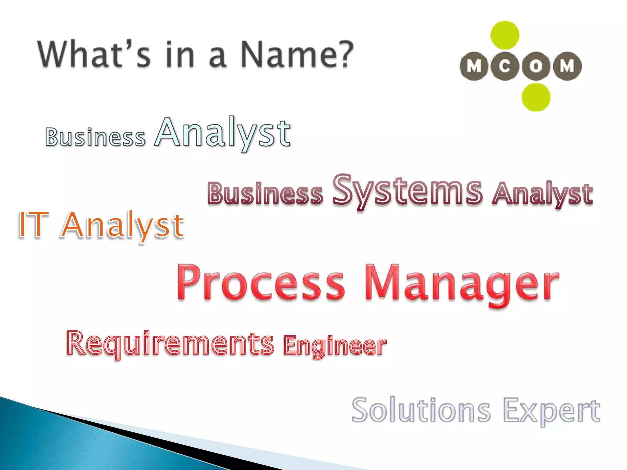 Business AnalystBusiness Systems AnalystIT AnalystProcess ManagerRequirements EngineerWhat’s in a Name?Solutions Expert