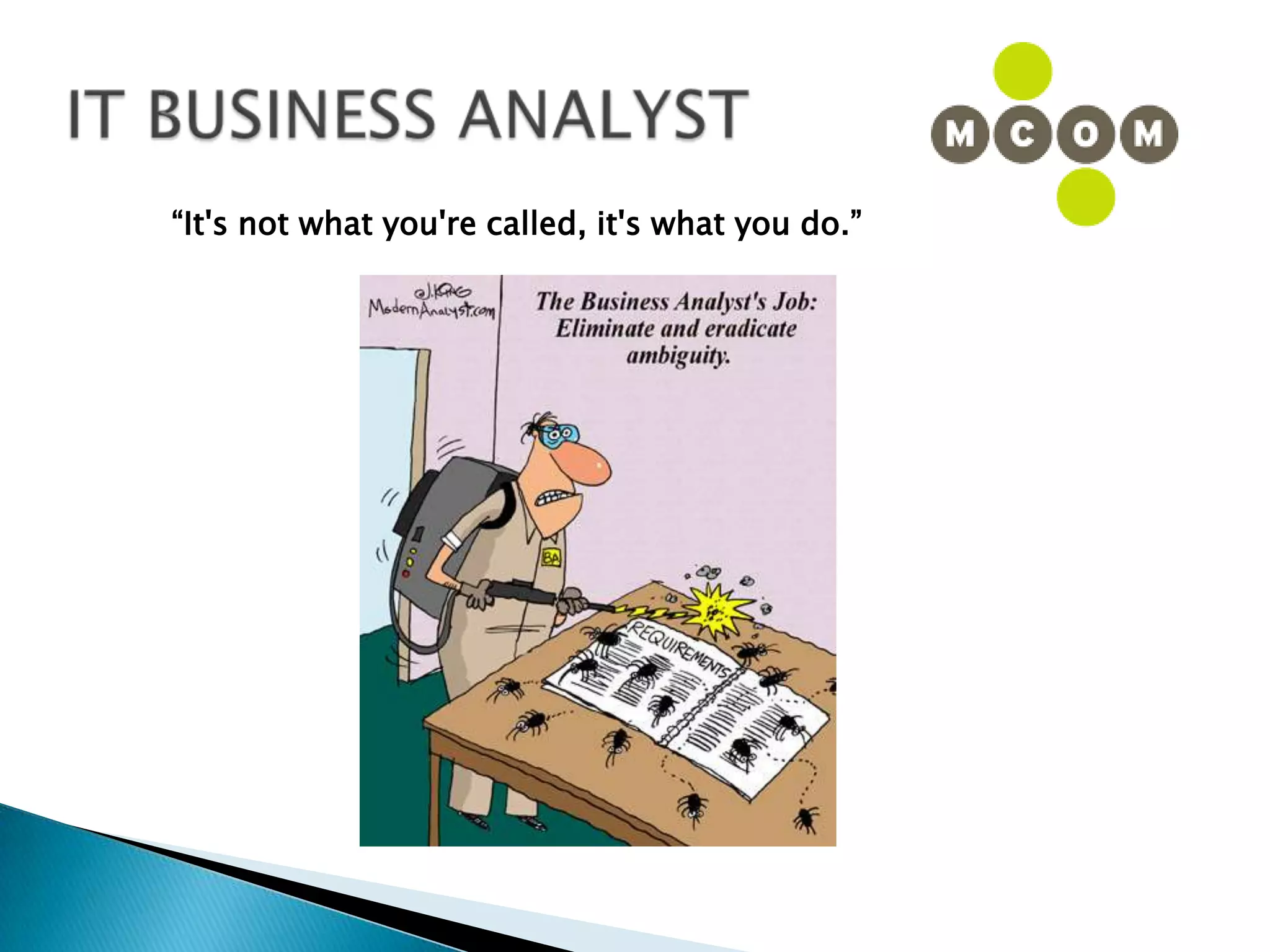 IT BUSINESS ANALYST“It's not what you're called, it's what you do.”