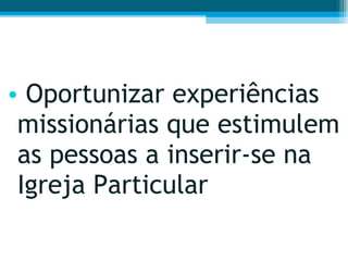 Oportunizar experiências missionárias que estimulem as pessoas a inserir-se na Igreja Particular  