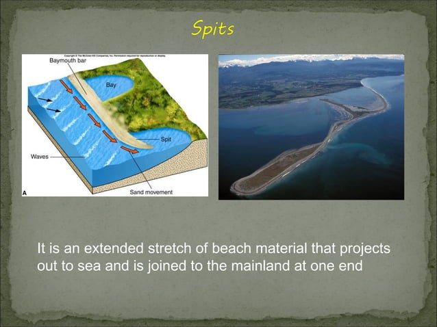 Marine and Coastal Processes | PPT | Geography | Science