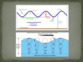 Marine Process Marine and Coastal Processes | PPT