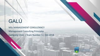 GALÚ
MSc MANAGEMENT CONSULTANCY
Management Consulting Principles
Company Clinic | Team Number 5 | Oct 2018
 