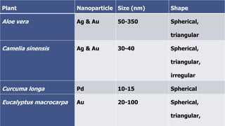 Plant Nanoparticle Size (nm) Shape
Aloe vera Ag & Au 50-350 Spherical,
triangular
Camelia sinensis Ag & Au 30-40 Spherical,
triangular,
irregular
Curcuma longa Pd 10-15 Spherical
Eucalyptus macrocarpa Au 20-100 Spherical,
triangular,
 