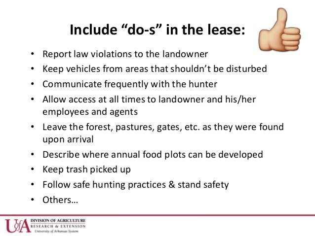 lease violations