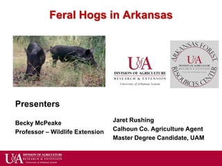 Feral Hogs in Arkansas




Presenters

Becky McPeake                    Jaret Rushing
Professor – Wildlife Extension   Calhoun Co. Agriculture Agent
                                 Master Degree Candidate, UAM
 