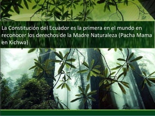 La Constitución del Ecuador es la primera en el mundo en reconocer los derechos de la Madre Naturaleza (Pacha Mama en Kichwa) 