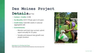 Des Moines Project
Details
 Planting Design: Single Tree
 Carbon+ Credits: 4,398
 Co-Benefits: $157,170 per year in 25 ...