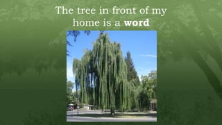 The tree in front of my
home is a word
 
