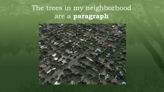 The trees in my neighborhood
are a paragraph
 