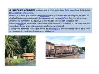 La laguna de Sinamaica se encuentra al norte del estado Zulia a una hora de la ciudad
de Maracaibo en Venezuela.
Pasando el puente que atraviesa el río Limón principal afluente de esta laguna, se ven a lo
lejos las típicas construcciones indígenas conocidas como palafitos. Estas construcciones
unifamiliares con techos a 2 aguas, y asentadas con troncos son utilizadas por
diferentes etnias en Venezuela, la etnia que habita este sitio es la Añu, la cual mantiene sus
costumbres de ser una etnia cazadora, recolectora y artesanal.
El transporte dentro se realiza por medio de las curiaras o embarcaciones típicas de la zona
hechas con troncos de árboles cercanos a la laguna.
 