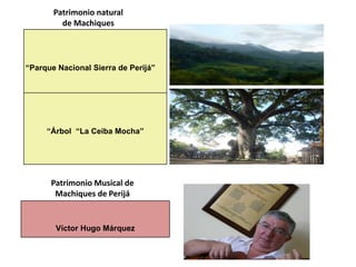 Patrimonio natural
         de Machiques




“Parque Nacional Sierra de Perijá”




     “Árbol “La Ceiba Mocha”




      Patrimonio Musical de
       Machiques de Perijá


       Víctor Hugo Márquez
 