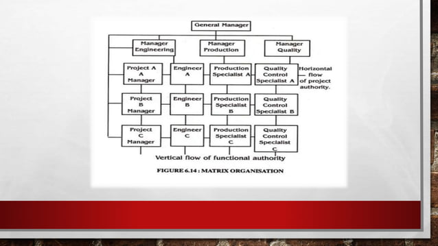 Classification of Organization | PPT