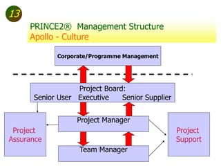The Role Of The Project Manager, Prince2 And Charles Handy's Gods Of …