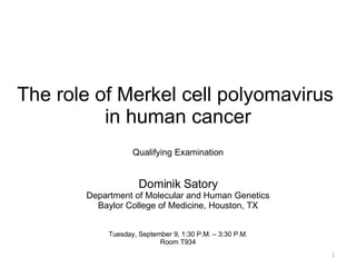 The role of Merkel cell polyomavirus  in human cancer Qualifying Examination Dominik Satory Department of Molecular and Human Genetics Baylor College of Medicine, Houston, TX Tuesday, September 9, 1:30 P.M. – 3:30 P.M. Room T934 
