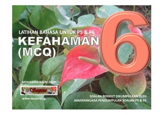 LATIHAN BAHASA UNTUK P5 & P6
LATIHAN BAHASA UNTUK P5 & P6




 MOHAMED NAIM DAIPI



                              SOALAN ...