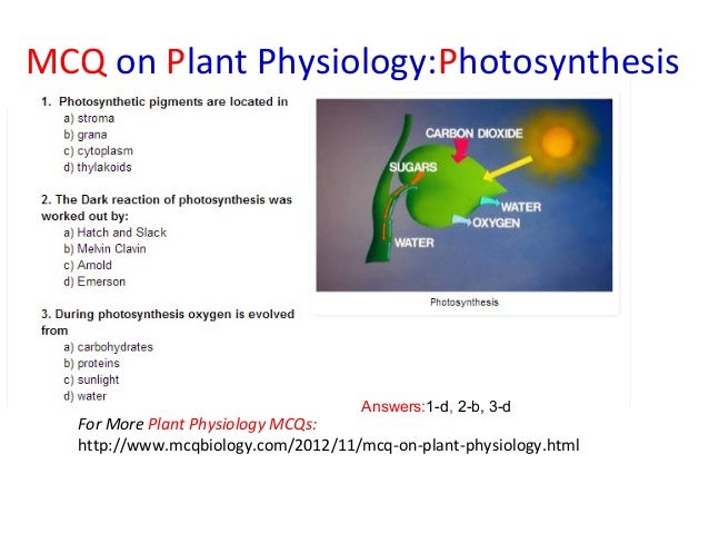 Plant physiology. Histon. Recognition. Molecular communication. Alloantigens.
