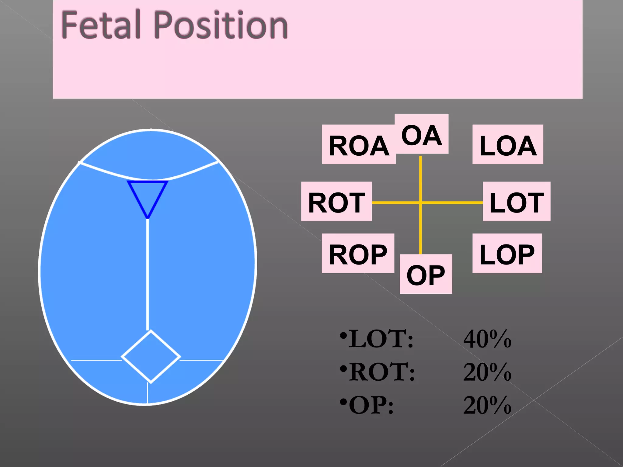 Loa Roa Mcq on normal and abnormal labor for undergraduate | PPT