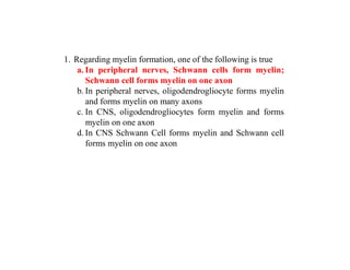 1. Regarding myelin formation, one of the following is true
a. In peripheral nerves, Schwann cells form myelin;
Schwann cell forms myelin on one axon
b. In peripheral nerves, oligodendrogliocyte forms myelin
and forms myelin on many axons
c. In CNS, oligodendrogliocytes form myelin and forms
myelin on one axon
d. In CNS Schwann Cell forms myelin and Schwann cell
forms myelin on one axon
 