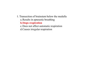 1. Transection of brainstem below the medulla
a.Results in apneustic breathing
b.Stops respiration
c.Does not affect automatic respiration
d.Causes irregular respiration
 