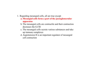 1. Regarding mesangial cells, all are true except
a. Mesangial cells form a part of the juxtaglomerular
apparatus
b. The mesangial cells are contractile and their contraction
decreases the G.F.R
c. The mesangial cells secrete various substances and take
up immune complexes
d. Angiotension II is an important regulator of mesangial
cell contraction
 