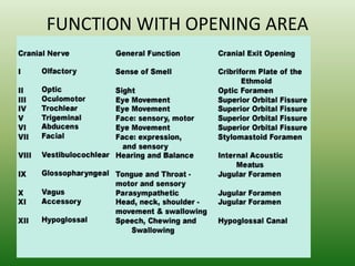 Cranial Nerves And Functions Chart