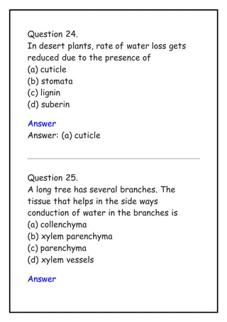 Question 24.
In desert plants, rate of water loss gets
reduced due to the presence of
(a) cuticle
(b) stomata
(c) lignin
(d) suberin
Answer
Answer: (a) cuticle
Question 25.
A long tree has several branches. The
tissue that helps in the side ways
conduction of water in the branches is
(a) collenchyma
(b) xylem parenchyma
(c) parenchyma
(d) xylem vessels
Answer
 