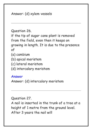 Answer: (d) xylem vessels
Question 26.
¡f the tip of sugar cane plant is removed
from the field, even then it keeps on
growing in length. It is due to the presence
of
(a) cambium
(b) apical meristem
(c) lateral meristem
(d) intercalary meristem
Answer
Answer: (d) intercalary meristem
Question 27.
A nail is inserted in the trunk of a tree at a
height of 1 metre from the ground level.
After 3 years the nail will
 
