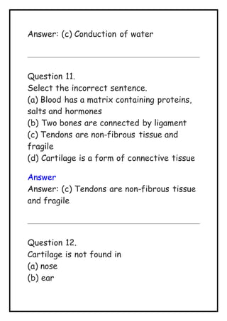 Answer: (c) Conduction of water
Question 11.
Select the incorrect sentence.
(a) Blood has a matrix containing proteins,
salts and hormones
(b) Two bones are connected by ligament
(c) Tendons are non-fibrous tissue and
fragile
(d) Cartilage is a form of connective tissue
Answer
Answer: (c) Tendons are non-fibrous tissue
and fragile
Question 12.
Cartilage is not found in
(a) nose
(b) ear
 