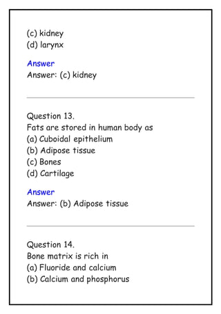 (c) kidney
(d) larynx
Answer
Answer: (c) kidney
Question 13.
Fats are stored in human body as
(a) Cuboidal epithelium
(b) Adipose tissue
(c) Bones
(d) Cartilage
Answer
Answer: (b) Adipose tissue
Question 14.
Bone matrix is rich in
(a) Fluoride and calcium
(b) Calcium and phosphorus
 